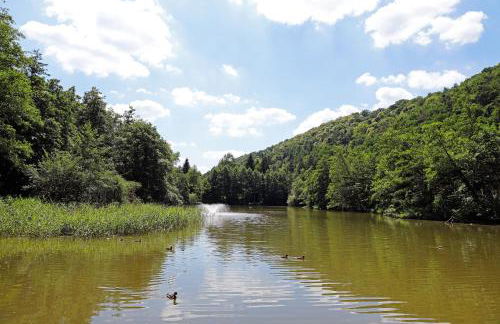 Ferienwohnung Sommerlinde - Foto 16