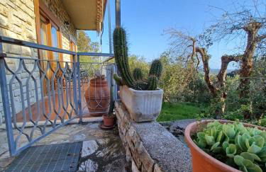 Verde Mare apartment Rosignano Marittimo - Foto 31