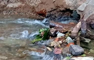 Apartamento Rural El Rinconcito - Foto 52