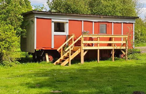 Ferienwohnung mit Tiny House - Foto 10