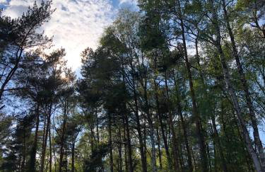 Lawendowe Domki 70m - Foto 19