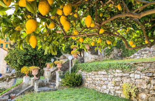 A~Mare Casa Vacanze - Foto 14