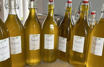 Garden House - 82 m2- Rustic Apartment - Foto 12