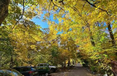 Appartement au calme dans residence avec piscine - Foto 40