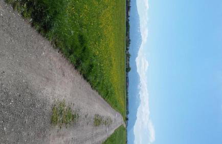 Ferienwohnung Hedy - Photo 32