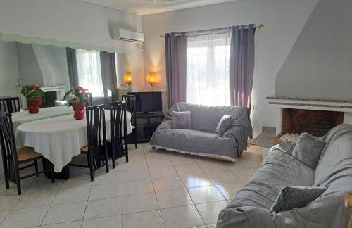 Four seasons apartment - Foto 40