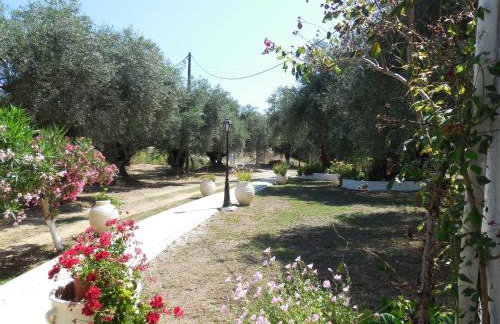 Petros Studios - Foto 17