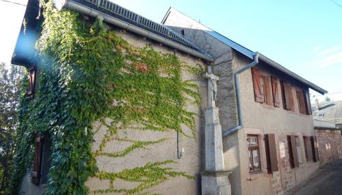 Le Petit Biscuit - Photo 3