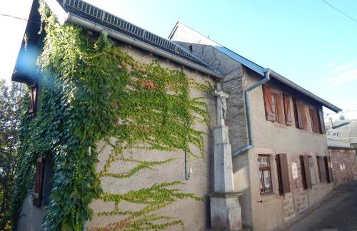 Le Petit Biscuit - Photo 3