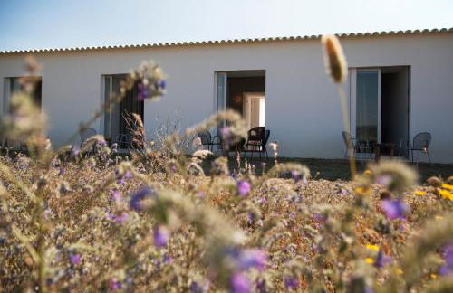 Monte Da Azarujinha - Foto 30