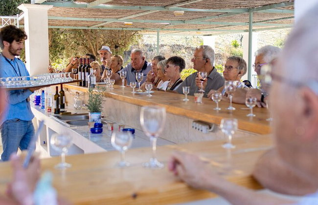 Degustación de vinos en Rodas, dentro de los viñedos con el productor. - Foto 15