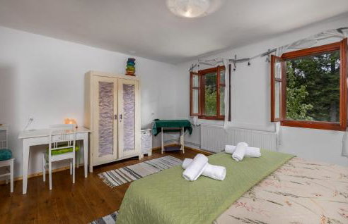 Gorgeous Home In Ravna Gora With Wifi - Foto 20