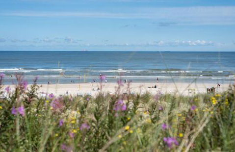 Dünenklause Düne 2 - Foto 18