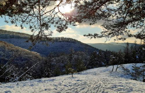 Ferienwohnung Westerwaldblick großzügige Wohlfühloase mit Terrasse - Foto 24