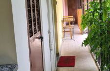 Musa Paradisiaca - Foto 27