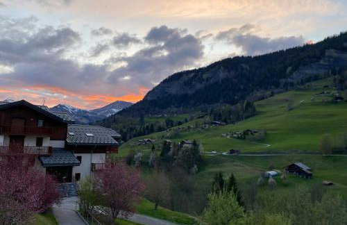 L'Ecrin des Myrtilles - Appartement cosy - Piscine et vue montagne - Alpes - Val d'Arly - Aravis et Beaufortain - Foto 45