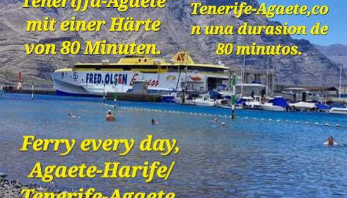 Casa Faican - Foto 5