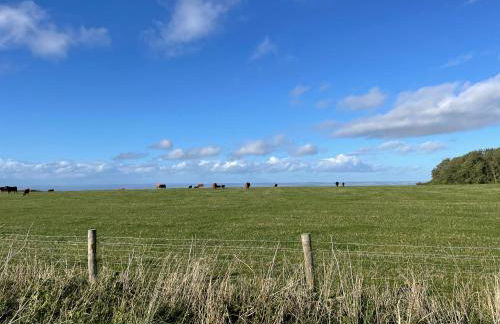 The Garden House - Photo 29