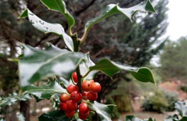 El Rincón de María. - Foto 27