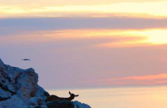 Duplex Son Parc Best Sea Views - Foto 46