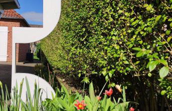 Pier 12 Ferienwohnung - Foto 1