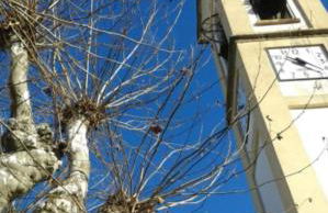 Appartamento Butterfly - Foto 24