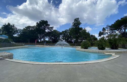 MysavinaHouse mobilhome 4 à 6 pers camping 4 Etoiles - Foto 49