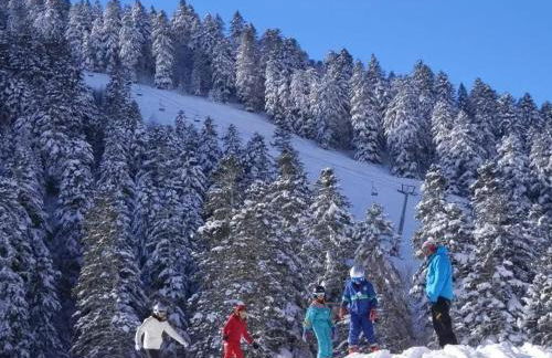 Appartement confortable à Ignaux, 31 m² avec piscine - Foto 33