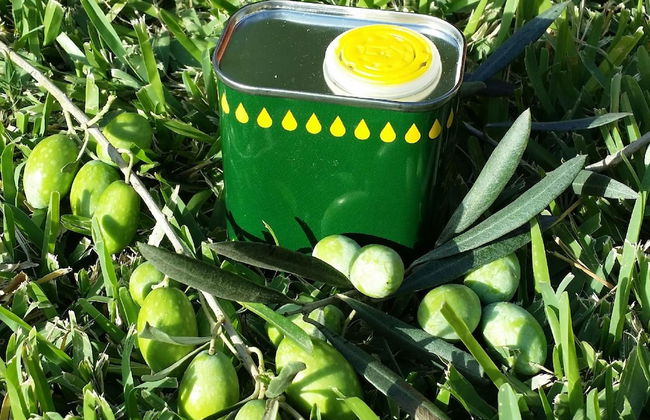 Casale Della Pergola Eco-friendly by the sea - Foto 35