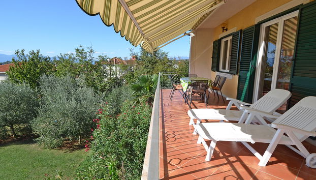 Jelka - Foto 3, Terrace