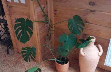 Uroczysko Ruczaj - Foto 61