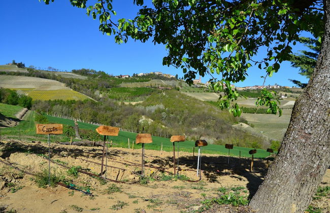 Le Cornici - Cascina di Charme - Foto 36