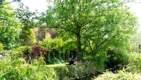 Casa Rural Arraigorri - Foto 3