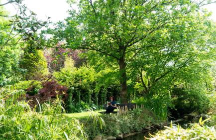 Casa Rural Arraigorri - Foto 3