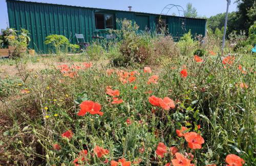 Gîte insolite La Renouée - Foto 16