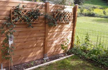 Studio de la corbaz - Foto 12