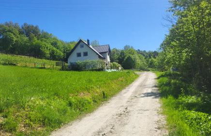 Leśne Wzgórze nad Soliną - Foto 7