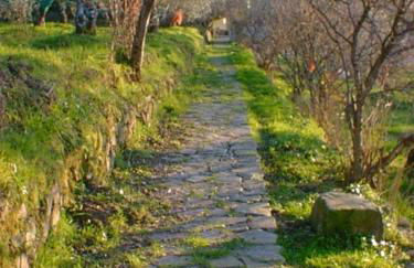 Agriturismo Il Vecchio Casale - Foto 21