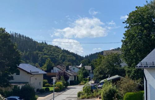 FeWo Skywalk Willingen - Foto 5