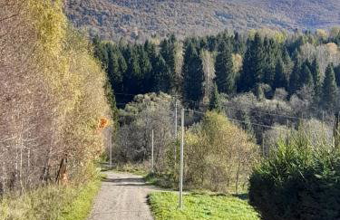 Mały Domek DOMARKA w BIESZCZADACH - Foto 21