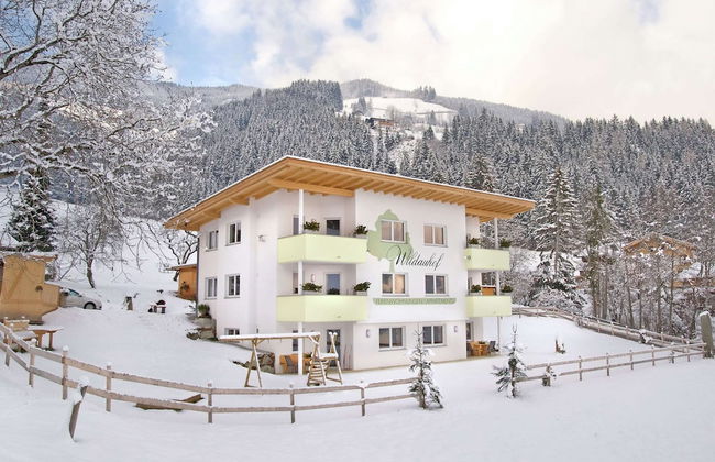 Apartment With a Sauna in Fugen Near the ski Area - Foto 24