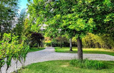 "L'or et des Landes" - 6 personnes - 5 minutes centre équestre et 10 minutes de Nérac - Foto 26