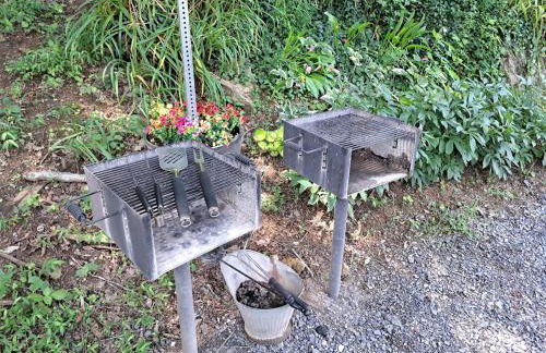 Buffalo Bend 3 BR near Lexington - Hot Tub - Foto 35