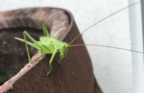 Wohnen im alten Kornspeicher - Foto 17