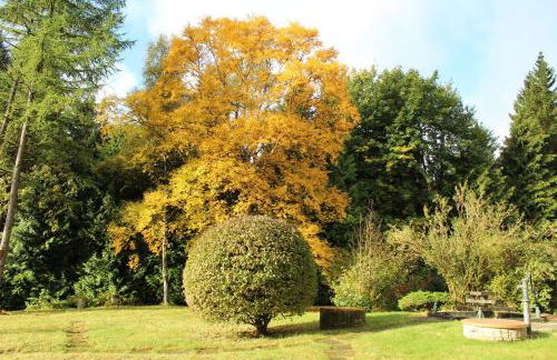 Waldhaus Hahnenklee - Foto 20