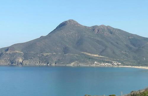 Rosemary Flavor - Foto 14