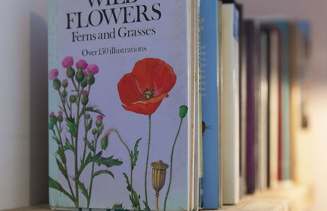 The Artist's Cottage near St. Ives - Foto 17