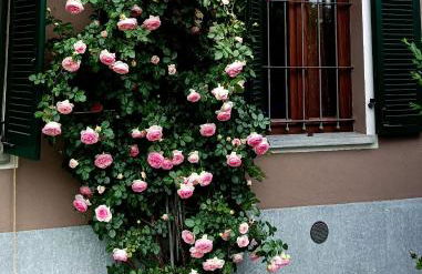 Scapa Da Ca' - Foto 26