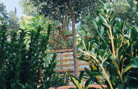 Olive Whisper Rome Garden and Sauna - Foto 26