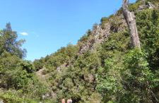 Malathro Olympus Guest House - Foto 41